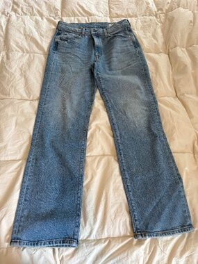 AYR The Lala Jeans 30 High Rise 90s Straight Leg Denim